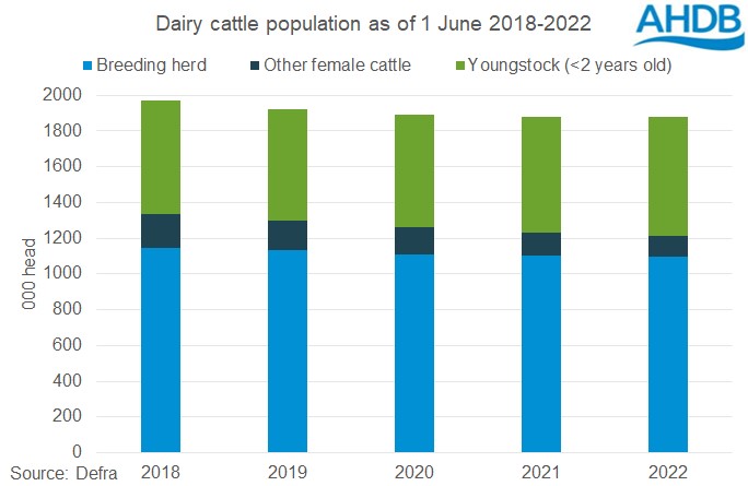 Graph of dairy cattle population as of 1 June 2018-2022